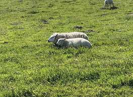 Holiday Home Meerperle