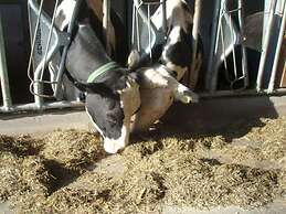 Neunerspitze Comfortable Holiday Residence