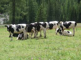 Neunerspitze Comfortable Holiday Residence