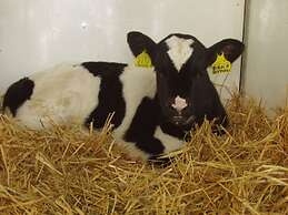 Neunerspitze Comfortable Holiday Residence