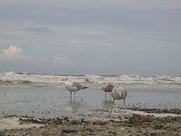 Mallard Modern Retreat