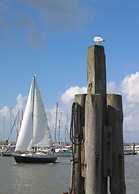 Mallard Modern Retreat