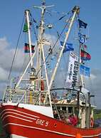 Mallard Modern Retreat