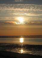 Mallard Modern Retreat