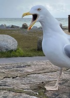 Meeresbraut Comfortable Holiday Residence