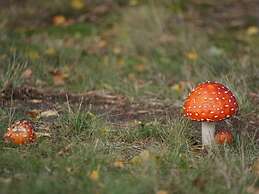 Meeresbraut Comfortable Holiday Residence