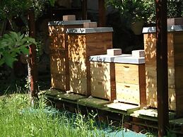 Comfort Apartment Comfortable Holiday Residence