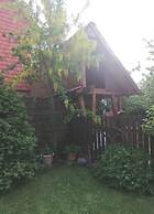 Comfort Apartment Comfortable Holiday Residence