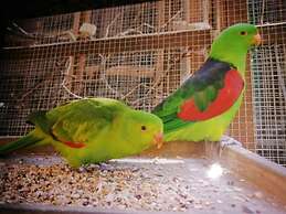 Comfort Apartment Comfortable Holiday Residence