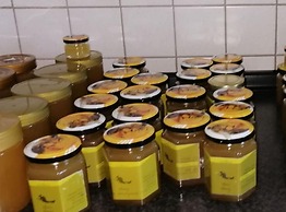 Comfort Apartment Comfortable Holiday Residence