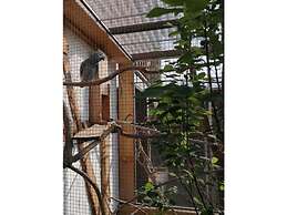 Comfort Apartment Comfortable Holiday Residence