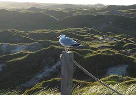 3 in het Huis Meerloft