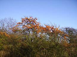 Apartment 1 in the Beach Happiness House