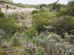 Beautiful Chalet Near the sea and Beach