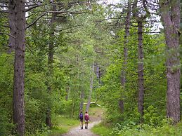 Beautiful Chalet Near the sea and Beach