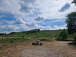 6 Person Holiday Home in Bording