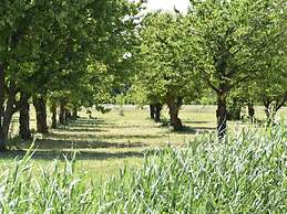 Villa With Garden Near Zeewolde