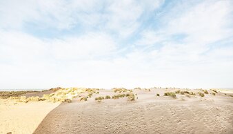 Manderley 204 Studio Directly on the Dunes