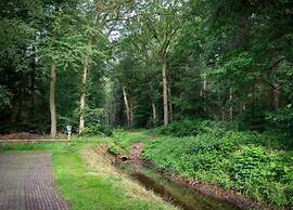 Glamping Tent With Kitchen Near Zwolle