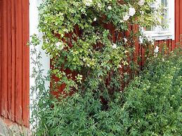 4 Star Holiday Home in Nykvarn