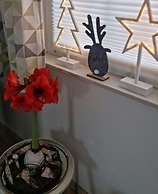 Holiday Home Sundtraum