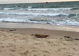 Tranquil Ground-floor Hideaway