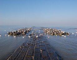 Apartment in Koksijde for 7 Person