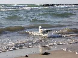 Lieselotte Modern Retreat