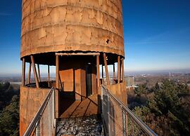Beautiful Lodge in Appelscha With Terrace