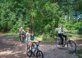 Beautiful Lodge in Appelscha With Terrace