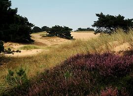 Beautiful Lodge in Appelscha With Terrace