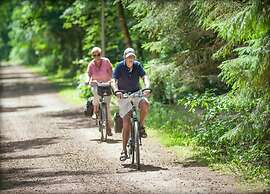 Beautiful Lodge in Appelscha With Terrace