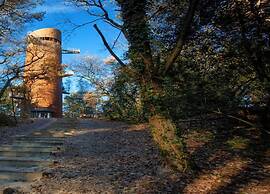 Beautiful Lodge in Appelscha With Terrace