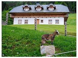 Infanglalm 