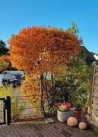 Heidhohn Comfortable Holiday Residence