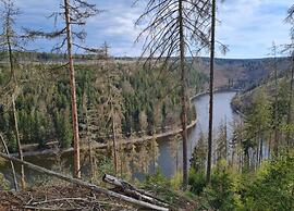 Lakeside Comfort With Garden