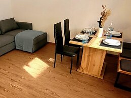 New Apartment in the Beautiful Pitztal