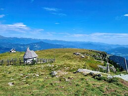Alpine hut in St. Lorenzen ob Murau, Styria