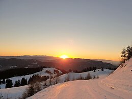 Alpine hut in St. Lorenzen ob Murau, Styria
