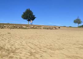 Glamping Tent in Netherlands With Terrace