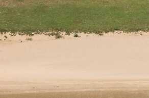 Glamping Tent in Netherlands With Terrace