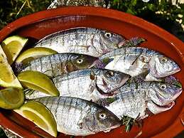 Lovely Apartment in Ripatransone