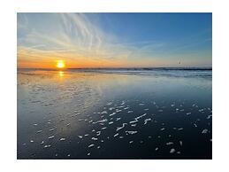 Nice Holiday Home With Terrace