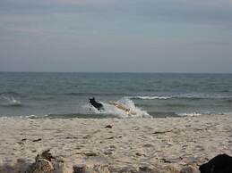 Sea Lymphony - in Villa Frigga