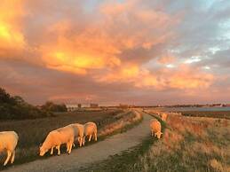Holiday Apartment Seaside