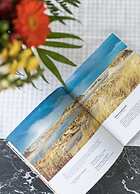 Lively Apartment in Norderney