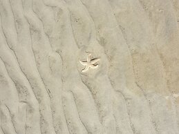 Red Sand Modern Retreat