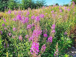 8 Person Holiday Home in Hellesoy-by Traum