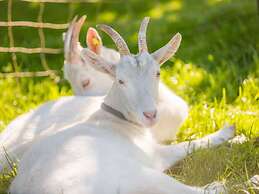 Holiday Apartment Sunrise