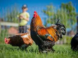 Holiday Apartment Sunrise